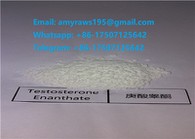 Test E steroidipulber