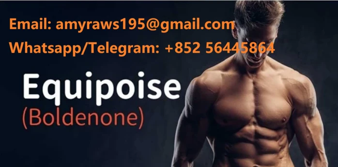 product-698-344 product-698-344
