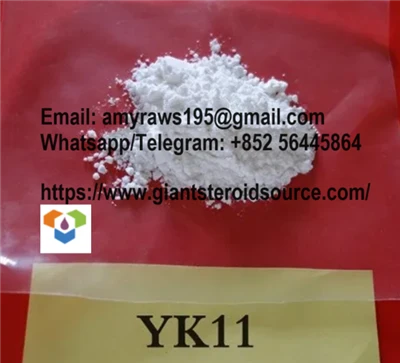 Valge Sarmsi toorpulbersteroid YK-11 CAS NR. 431579-34-9